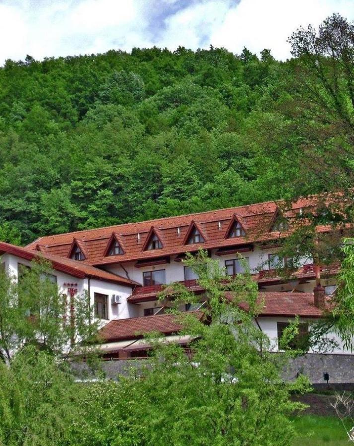 Hotel Mcpietroasa Hales Esterno foto